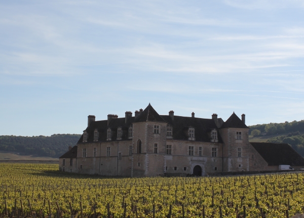 Bourgogne Chateau Vougeot